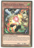 Droll & Lock Bird 1st Edition Premium Gold Rare Maximum Gold MAGO EN006 NM