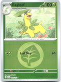 Bayleef Energy Symbol Reverse Holo ME Ascended Heroes 009/217 NM Tomomi Ozaki