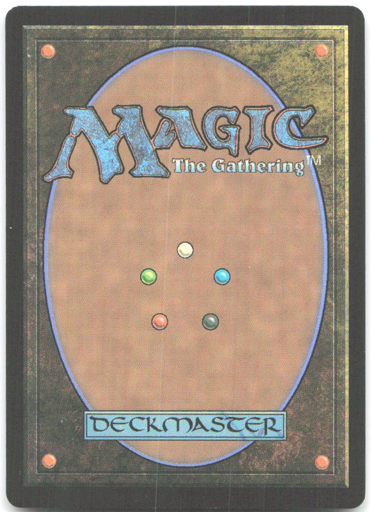 Devoted Duelist Foil C Tarkir Dragonstorm 104 NM Nathaniel Himawan
