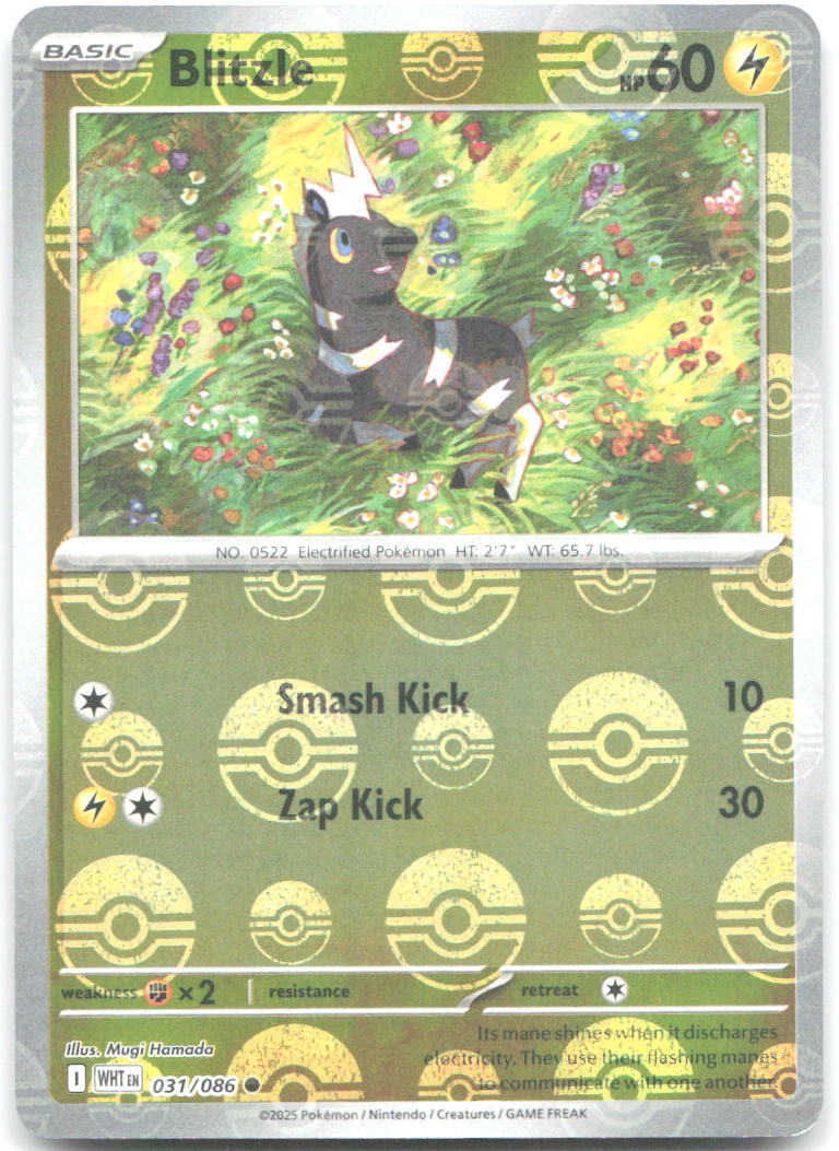 Blitzle Poke Ball Pattern Holo Common SV White Flare 031/086 NM Mugi Hamada