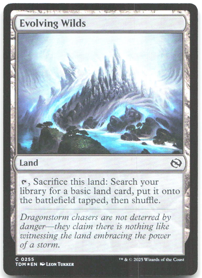 Evolving Wilds Foil C Tarkir Dragonstorm 255 NM Leon Tukker