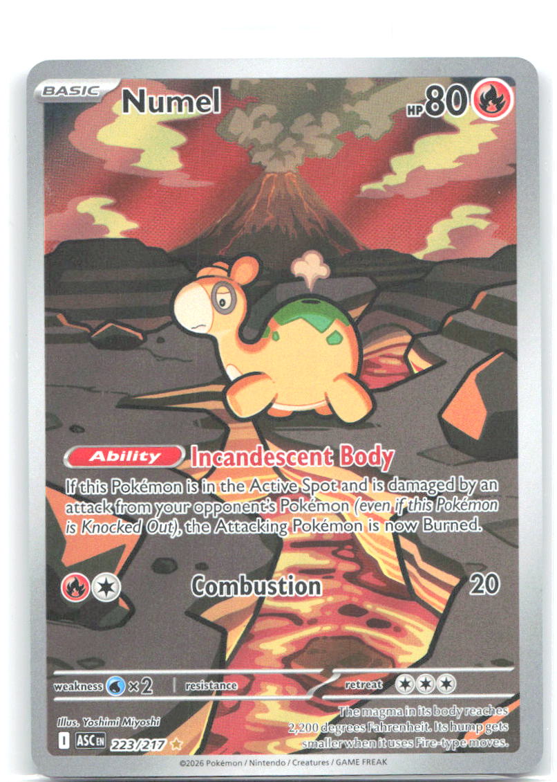 Numel Holo Illustration Rare ME: Ascended Heroes 223/217 NM Ounishi