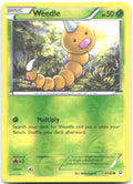 Weedle Reverse Holo Common XY Primal Clash 1/160 NM Midori Harada