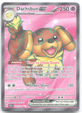 Dachsbun ex Holo Ultra Rare SV07: Stellar Crown 160/142 NM You Iribi