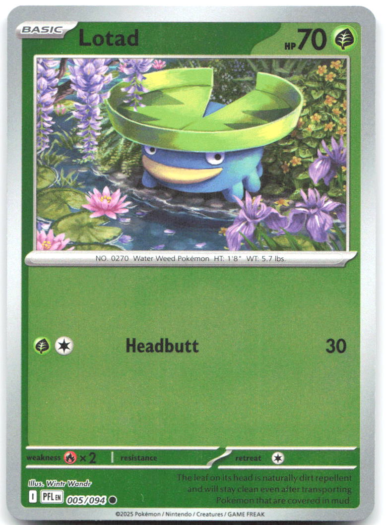 Lotad Reverse Holo Common ME02 Phantasmal Flames 005/094 NM Wintr Wandr