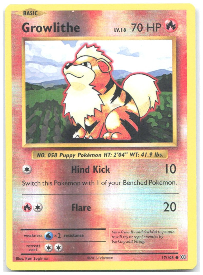 Growlithe Reverse Holo Common XY Evolutions 17/108 NM Ken Sugimori