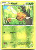 Combee Reverse Holo Common XY Ancient Origins 9/98 NM Sumiyoshi Kizuki