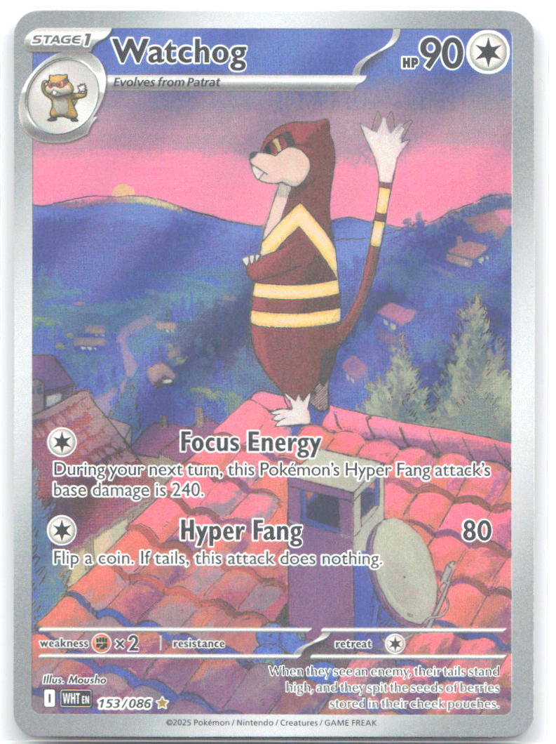 Watchog Holo Illustration Rare SV: White Flare 153/086 NM Mousho